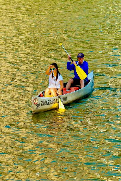 paddlers наслаждайтесь каноэ на озере леди берд, остин, техас - lake texas canoe canoeing стоковые фото и изображения