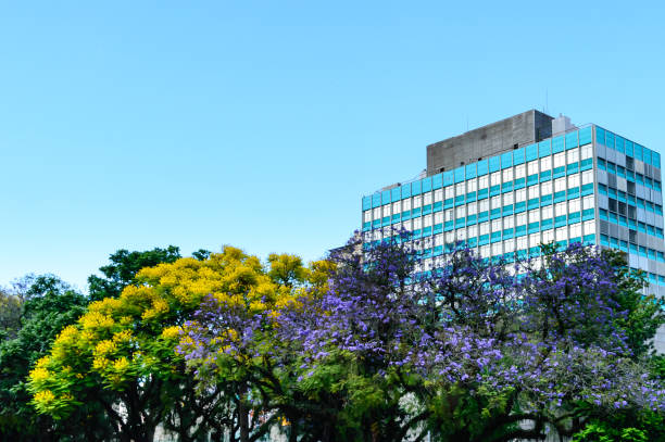 istock Colorful trees and commercial building in the background 1304139561