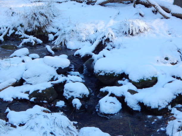 istock A world of snow and ice 1304139716