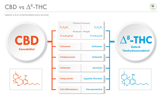 CBD vs 8-THC, Cannabichromene vs Delta 8 Tetrahydrocannabinol business infographic illustration about cannabis as herbal alternative medicine and chemical therapy, healthcare and medical science vector.