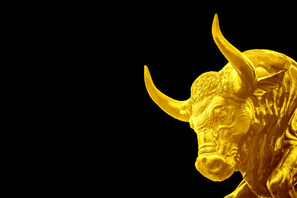 istock Golden Bull on black background 1304145409
