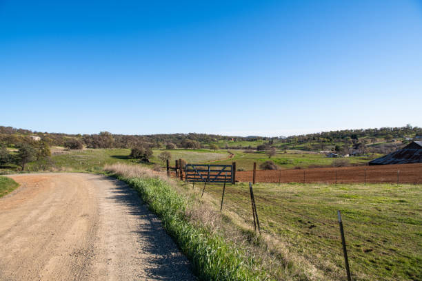 istock California pastureland 1304145596