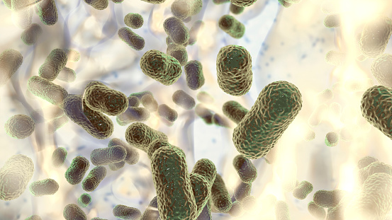 Multidrug resistant bacteria. Biofilm of bacteria Acinetobacter baumannii, the common causative agent of hospital-acquired infections 3D illustration