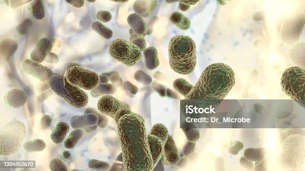 Multidrug Resistant Bacteria Biofilm Of Bacteria Acinetobacter Baumannii Stock Photo - Download Image Now