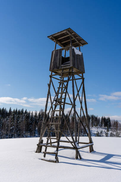 istock Latvia in winter where you can see a large field that has reached with deep white fluffy snow and on it stands a large hunting tower built of wood 1304156327