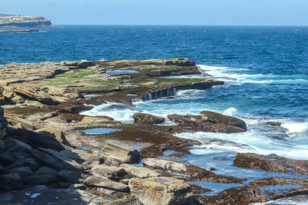 istock Ocean rocks with texture overlooking a sea 1304157286