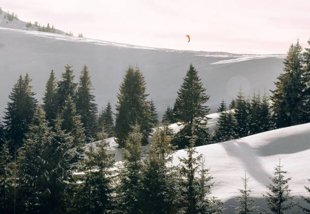 istock Paragliding Above Pine Trees On Snowcapped Mountain Against Sky 1304160270