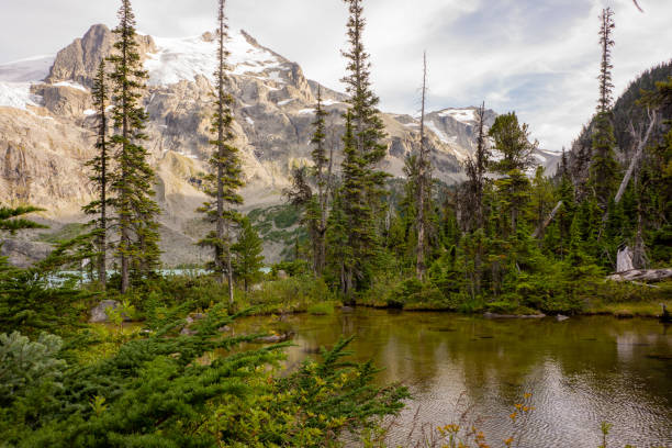 istock Mesmerizing Scenery of Joffre Lake 1304164721