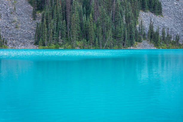 istock Mesmerizing Scenery of Joffre Lake 1304164725