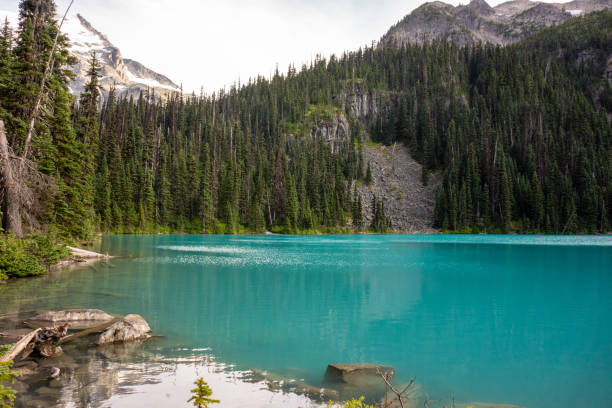 istock Mesmerizing Scenery of Joffre Lake 1304164755