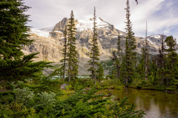istock Mesmerizing Scenery of Joffre Lake 1304165340