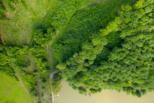 istock Aerial view landscape at sunrise forest 1304170663