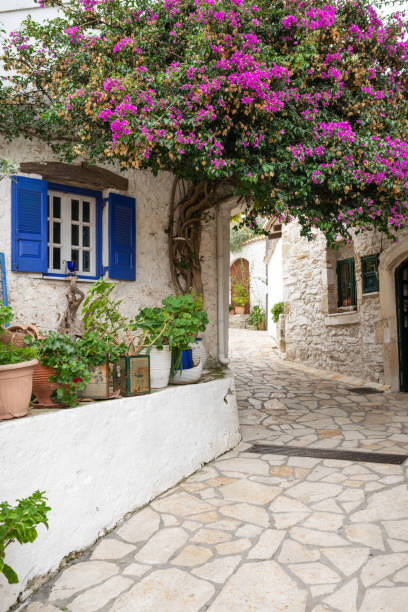 istock Colorfully planted mountain village, Afionas Greece 1304175481