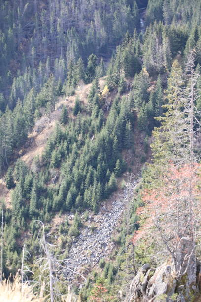 istock Scenic Craggy Spruce Forests Mountain View 1304175521