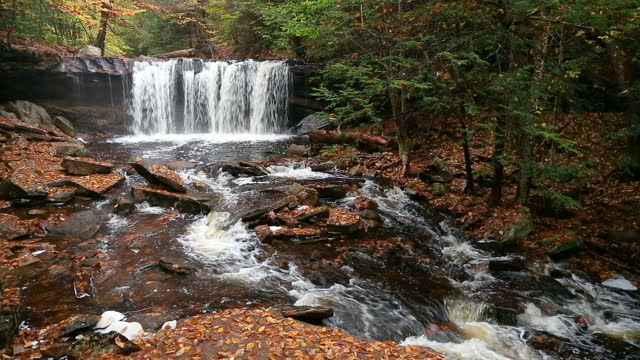 Oneida Falls - Ricketts Glen Pennsylvania