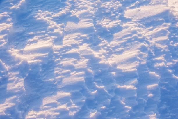 Clean untouched snow at sunset texture. Winter background