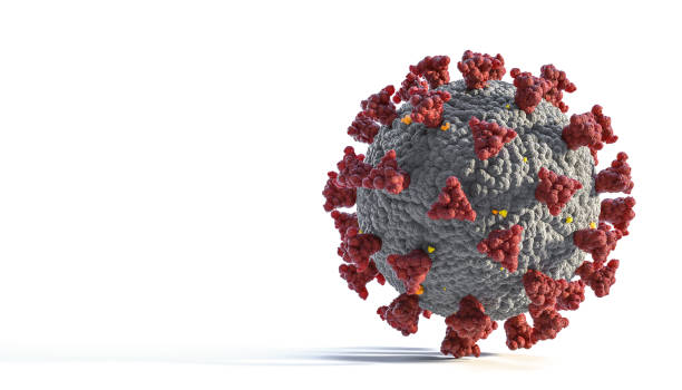 istock representation of the covid-19 sars virus. 1304176892