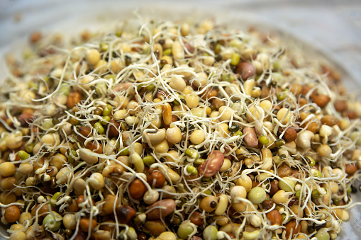 Mixed Sprouted Beans ready for making quanti at Janai Purnima or Raksha bandhan Festival. Healthy food. Selective focus