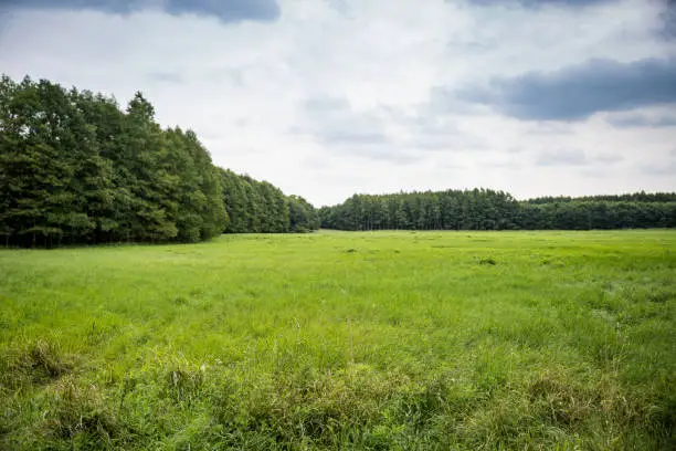 Photo of Countyside with Forest and Meadow under Cloudy Sky, Germany