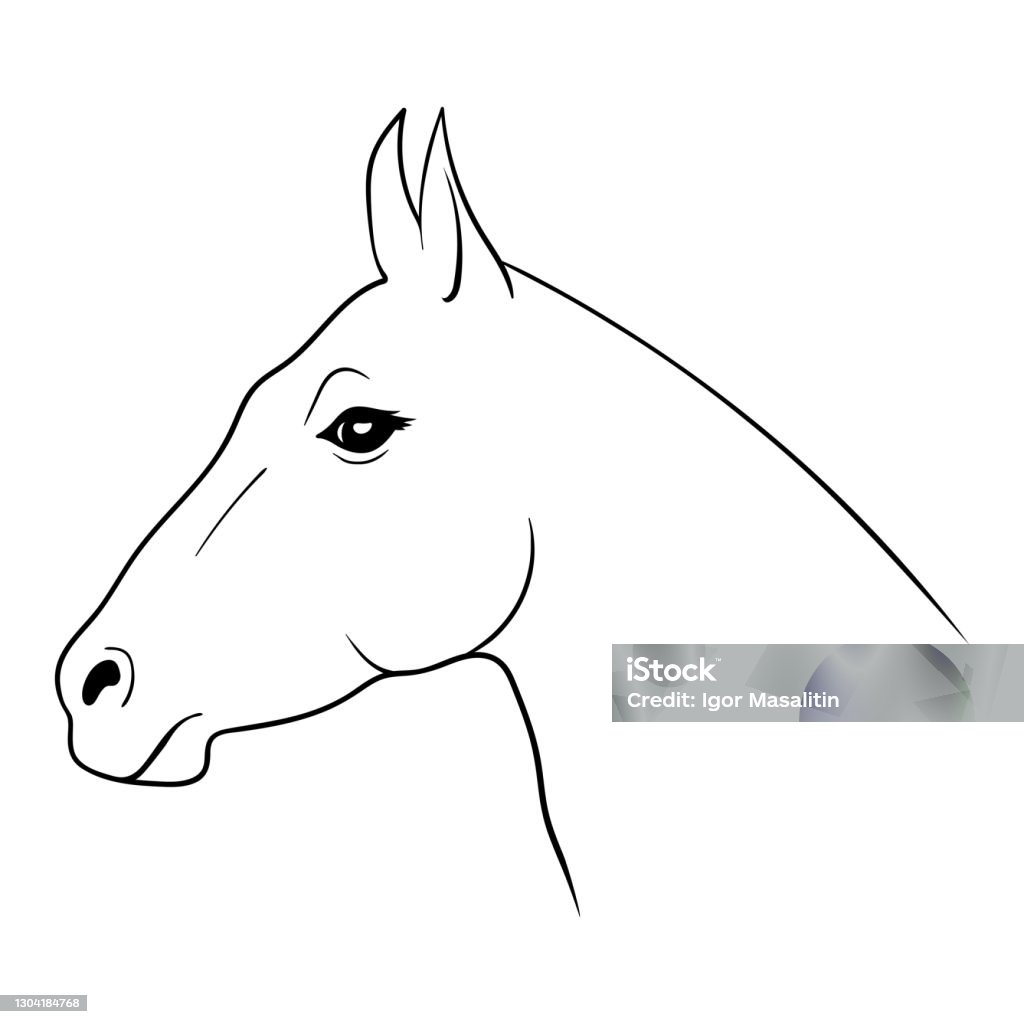 Ilustración de La Cabeza Del Caballo Un Caballo Un Dibujo A Mano Y Un  Contorno y más Vectores Libres de Derechos de Caballo - Familia del caballo  - iStock