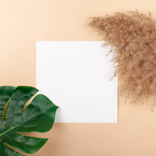 istock Mocup on a beige background. Empty space for text. Advertising, design, post. Monstera, artificial plant flat lay 1304186868