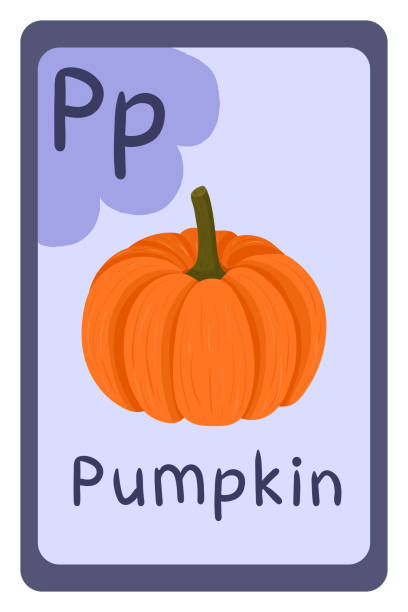 istock Colorful abc education flash card, Letter P - pumpkin. Alphabet vector illustration with food, fruits and vegetables. School, study, learning concept. 1304187862