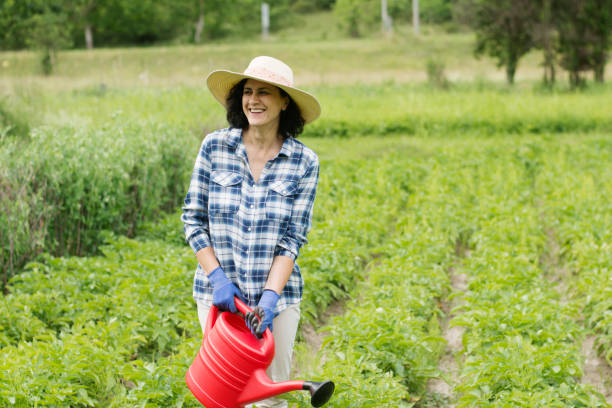 istock Woman watering her vegetable garden 1304189656