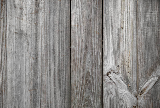 Grunge old wood door textured background