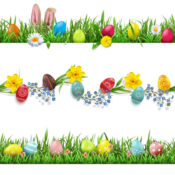 vektor ostern grenzen set - daffodil flower spring easter egg stock-grafiken, -clipart, -cartoons und -symbole