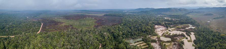 Panoramic aerial view of deforestation in the Amazon rainforest, illegal gold mining, forest fire burn for cattle pasture farm, river with mercury and dirt road. Concept of ecology, environment.