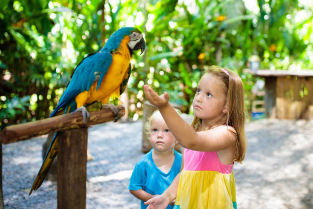 istock Kids feeding macaw parrot. Child playing with bird 1304195163