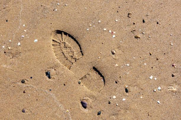 Single shoe print with strong shadows at seaside.