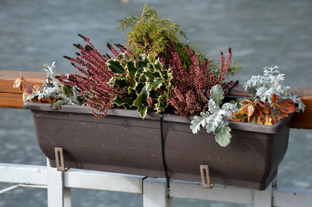 seafront with metal railings and plastic boxes attached to the handrail. filled with dry flower decoration. benches and concrete stairs by the pond. granite paving and threshed compacted surface