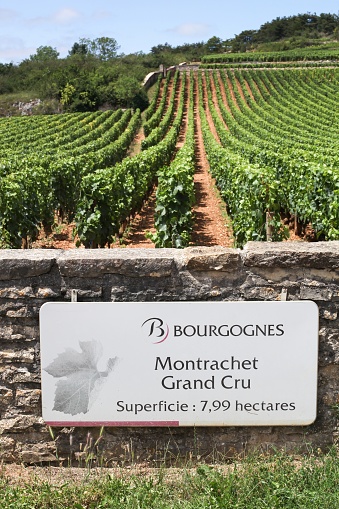 Chassagne-Montrachet, France - July 5, 2020: Montrachet grand cru, wine of Burgundy road sign, France