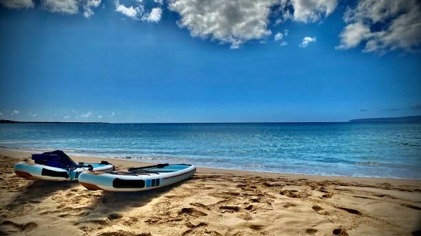 two paddle boards on the sand somewhere on a beach on maui, hi - usa samuel howell stock pictures, royalty-free photos & images