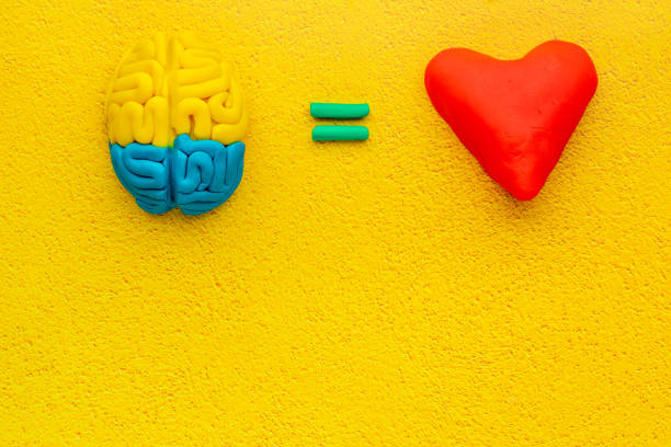 istock Emotional intelligence concept with brain and heart, top view 1304198867