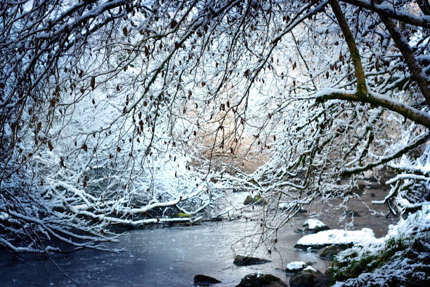 istock winter snow in the woods on the river 1304199262