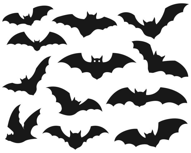 Black silhouettes of bats. vector icon illustration Black silhouettes of bats. vector icon illustration bat stock illustrations