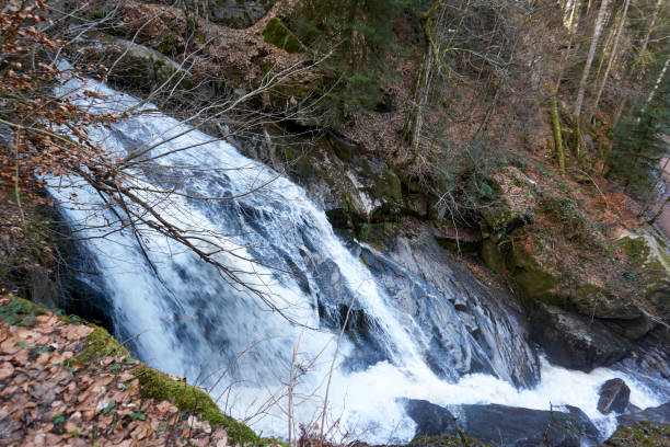 istock imposing triberg waterfalls in the black forest in germany 1304201783