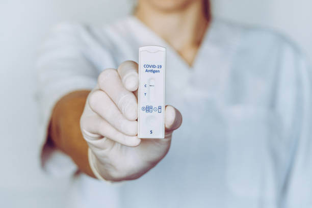 A nurse wearing latex gloves holds a covid-19 antigen test that has come back negative A nurse wearing latex gloves holds a covid-19 antigen test that has come back negative antigen stock pictures, royalty-free photos & images