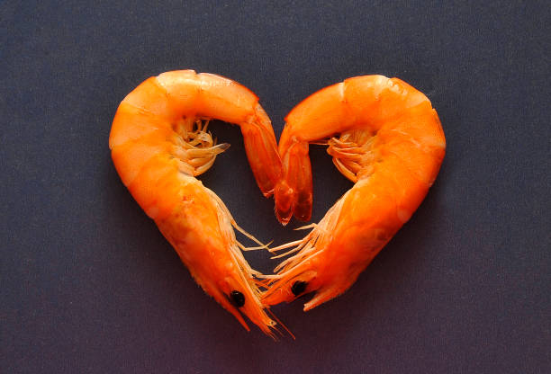 istock Frozen shrimps on blue background 1304208057