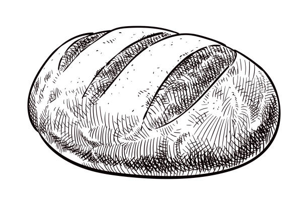 Old style illustration of loaf of rustic bread