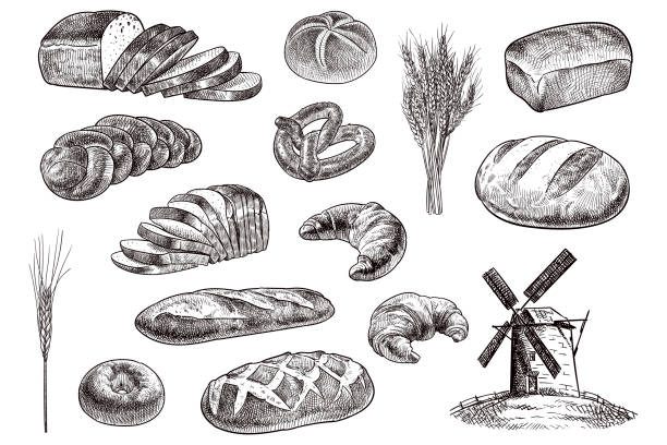 Vector drawing of bakery products Old style illustration of bakery related items french food stock illustrations