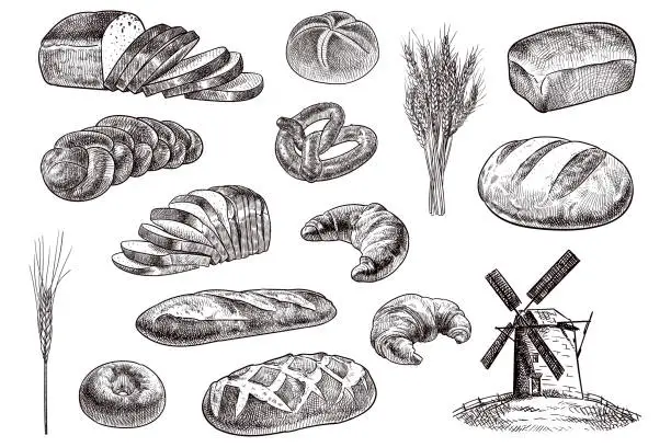 Vector illustration of Vector drawing of bakery products