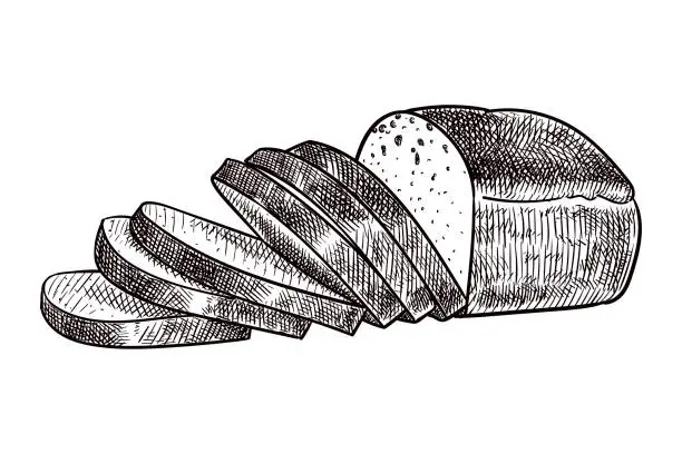 Vector illustration of Vector drawing of sliced bread