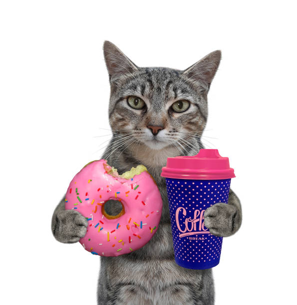 istock Cat gray with pink donut and blue cup 1304219313