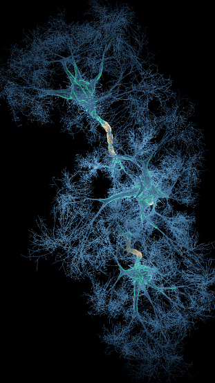 Neuron system hologram - 3d rendered image of Neuron cell network on black background. Hologram view  interconnected neurons cells with electrical pulses. Conceptual medical image.  Glowing synapse.  Healthcare concept.