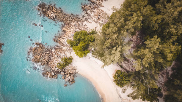istock beach with rocks stones top down aerial view 1304220644