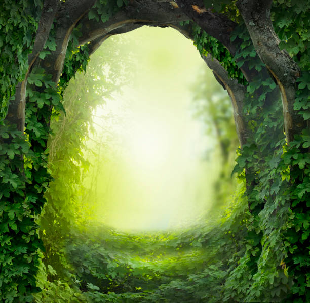 magic forest magic forest natural arch stock pictures, royalty-free photos & images