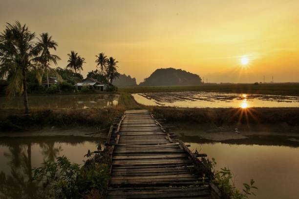 istock Landscape view of paddy fields,small village,mountain,bridge,river during sunset. 1304224539